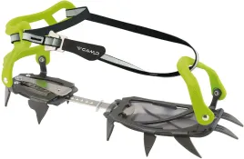 raki-koszykowe-camp-zielone-12-zebne-36-48