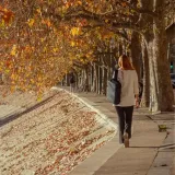 plecak-xd-design-bobby-bizz-2-0-navy-wielkosc-matrycy-15-6-waga-z-opakowaniem-1-267-kg