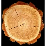 perfumy-yodeyma-houston-100-ml-marka-yodeyma-pojemnosc-opakowania-100-ml