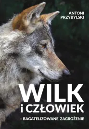 wilk-i-czlowiek-bagatelizowane-zagrozenie-antoni-przybylski
