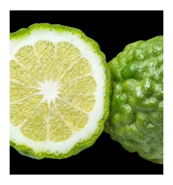 root-perfumy-meskie-yodeyma-100-ml-marka-yodeyma-rodzaj-perfumy