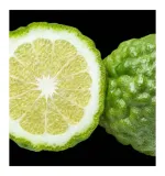 root-perfumy-meskie-yodeyma-100-ml-marka-yodeyma-rodzaj-perfumy