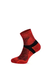 meskie-skarpety-do-biegania-bridgedale-lightweight-t2-merino-sport-40-43