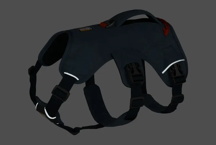 szelki-dla-psa-ruffwear-web-master-harness-slate-blue-xxs-rozmiar-xxs