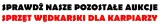 torba-termiczna-area-cool-carpath-delphin