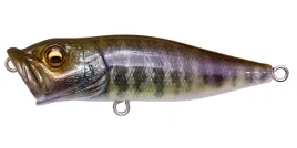 wobler-poper-megabass-popx-f-64mm-7-0g-fa-baby-gill