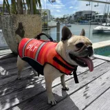 kamizelka-asekuracyjna-dla-psa-jetpilot-dog-pfd-red-xl-marka-jetpilot