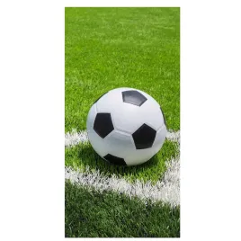 recznik-plazowy-jerry-fabrics-140-cm-x-70-cm