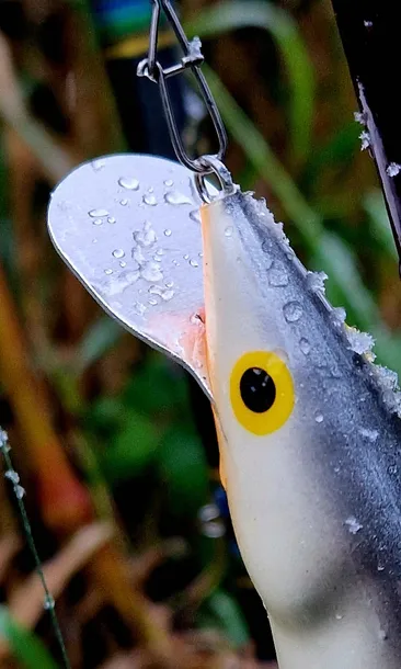 wobler-dorado-classic-jointed-bp-16cm-34g-plyw-metalowy-ster-na-glowacice-przeznaczenie-sandacze