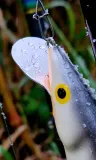 wobler-dorado-classic-jointed-bp-16cm-34g-plyw-metalowy-ster-na-glowacice-przeznaczenie-sandacze