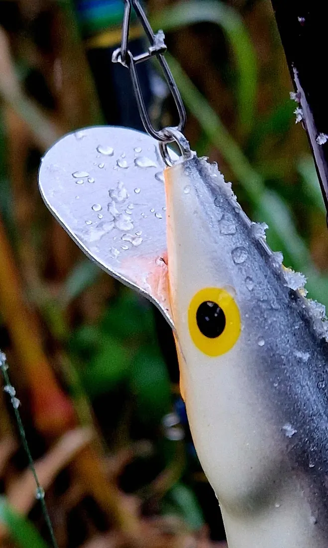 wobler-dorado-classic-jointed-bp-16cm-34g-plyw-metalowy-ster-na-glowacice-rodzaj-plywajace