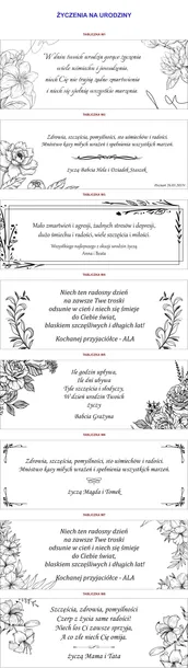 pioro-parker-naboje-marka-parker-kolor-dominujacy-piora-srebrny