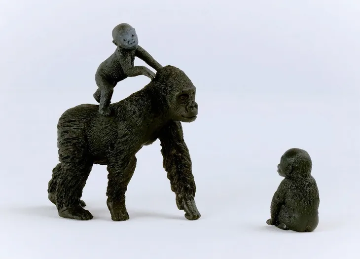 rodzina-goryli-42601-plec-chlopcy