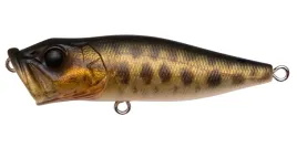 wobler-poper-megabass-popx-f-64mm-7-0g-fa-baby-raigyo