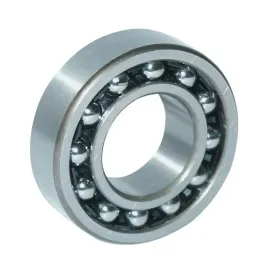 lozysko-wahliwe-fag-1309ktvhc3-45-x-100-mm