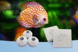 uzdatniacz-wody-maxspect-bio-sphere-1-kg-marka-maxspect-waga-z-opakowaniem-1-1-kg