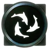 flipper-pico-black-6mm-dlugosc-3-cm