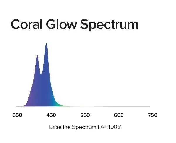 diody-led-aquaillumination-60-w