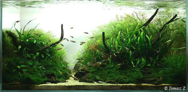 fluval-szczypce-do-pielegnacji-roslin-multi-tool-kod-producenta-ah-0129