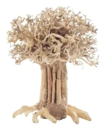 progrow-bonsai-tree-bt7m-20x15x25cm