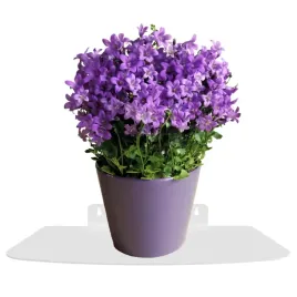 solidny-metalowy-kwietnik-wiszacy-scienny-loft-polka-na-sciane-bialy-duzy