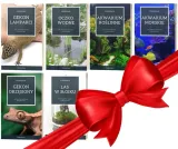 aquaforest-poly-glue-250-ml-kod-producenta-5902026739450