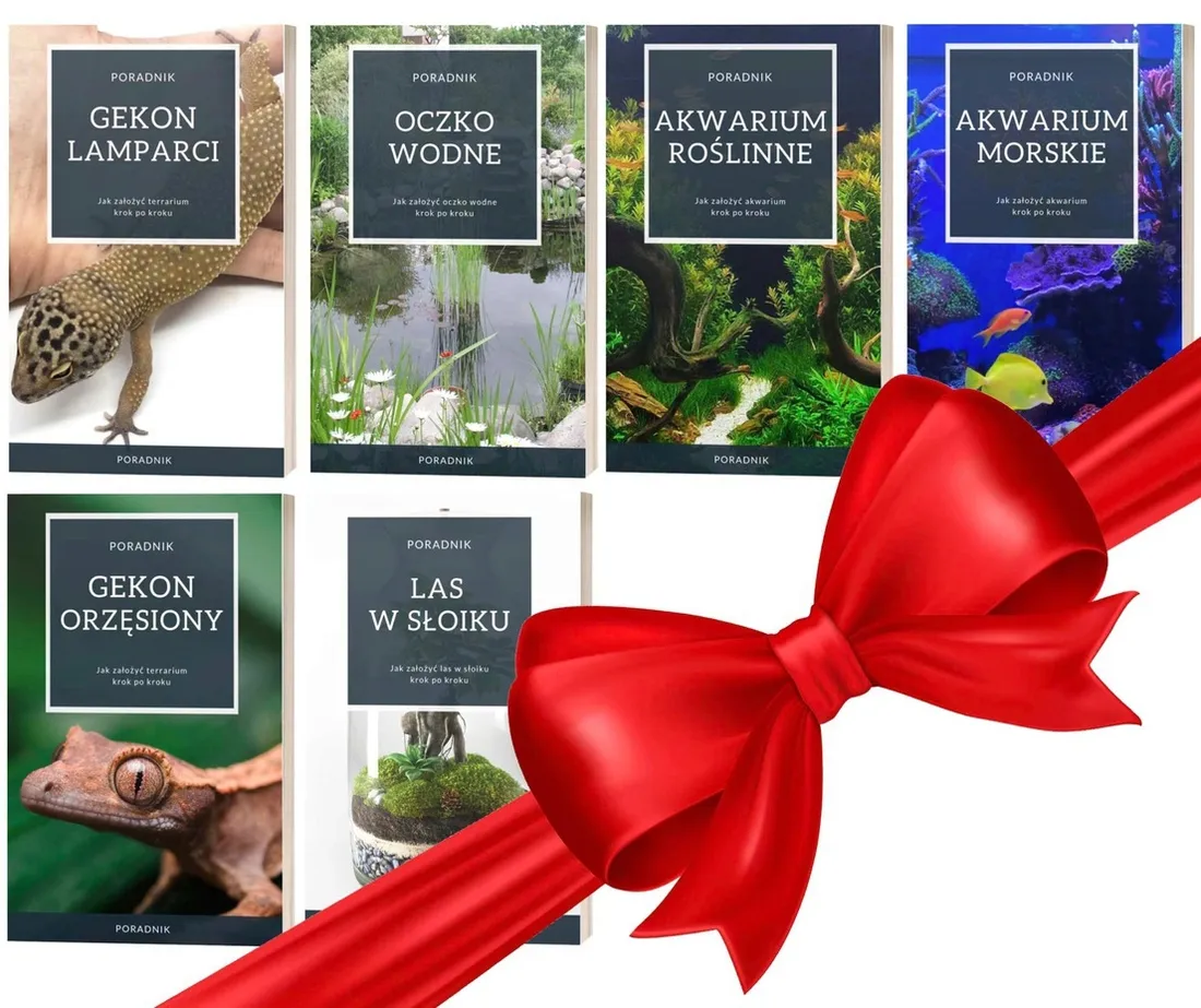 aquaforest-poly-glue-250-ml