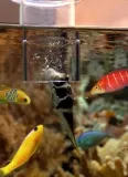 grotech-karmnik-feeding-zylinder-marka-grotech