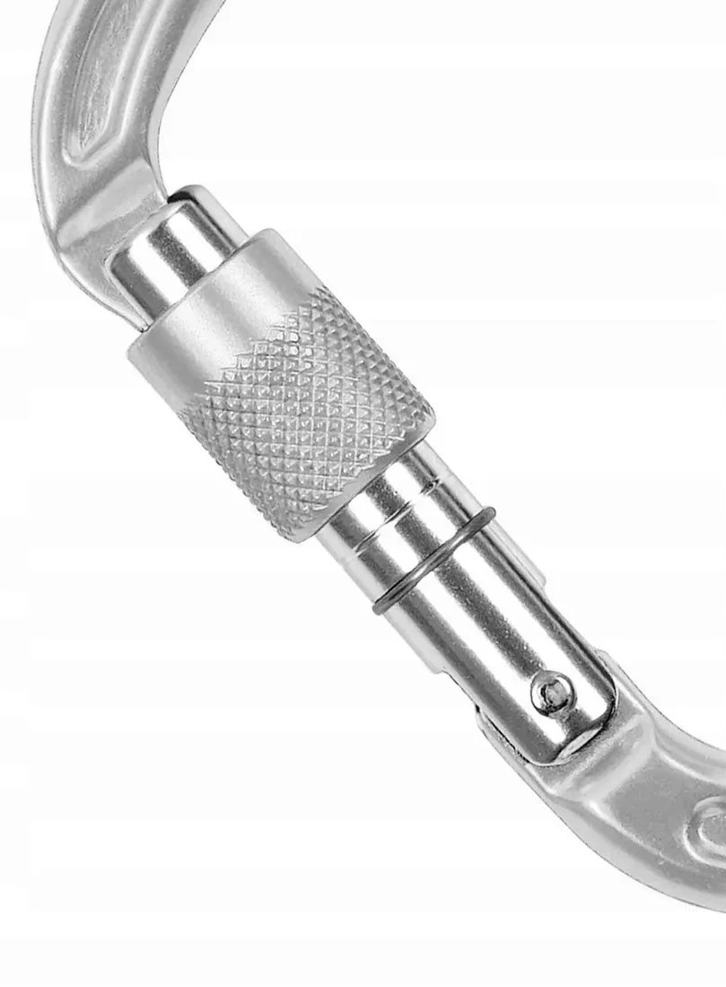 karabinek-climbing-technology-concept-sg-srebrny-os-waga-z-opakowaniem-0-1-kg