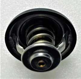 termostat-fendt-f119200050040