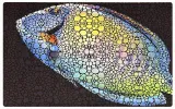 flipper-aquarium-mat-tang-75x45cm