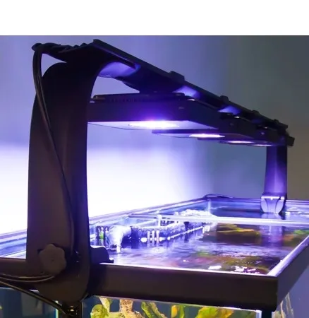 ecotech-ramie-do-radion-xr710