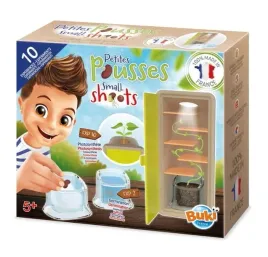 mala-szklarnia-obserwacja-wzrostu-roslinki-buki