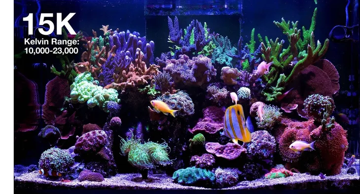 diody-led-red-sea-115-w-kod-producenta-r35920eur