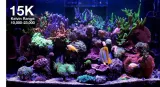 diody-led-red-sea-115-w-kod-producenta-r35920eur