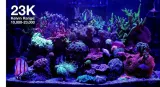 diody-led-red-sea-115-w-zawiera-baterie-nie