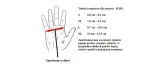 rekawice-mma-sparingowe-na-worek-skora-r-xl-rozmiar-xl