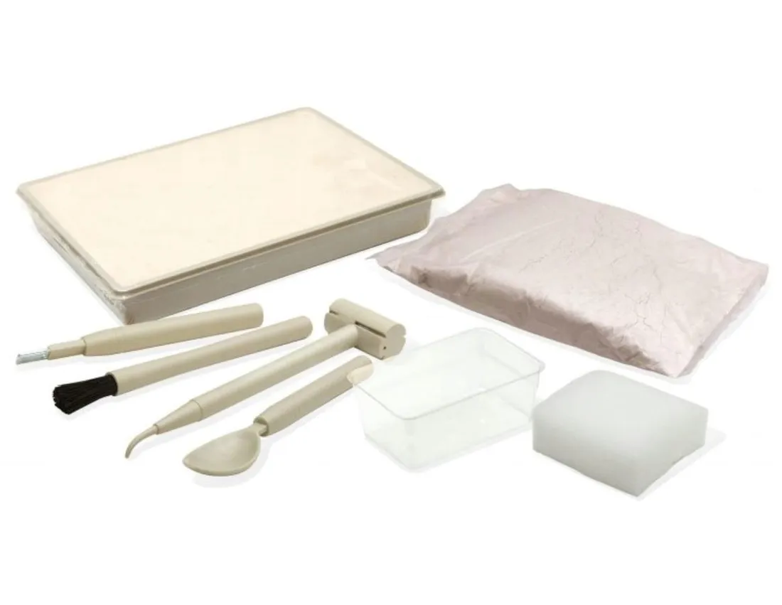 maly-archeolog-buki-brachiozaur