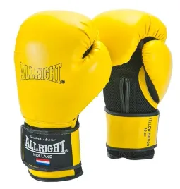 rekawice-bokserskie-allright-sw02031-10-oz