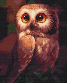 obraz-paint-it-malowanie-po-numerach-sowka