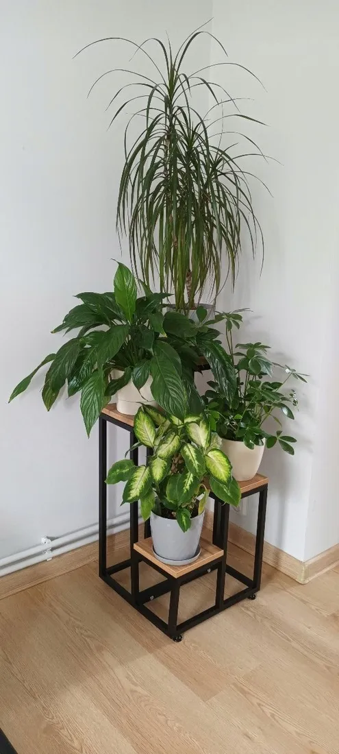 kwietnik-stojak-na-kwiaty-4-poziomowy-kaskada-metalowy-loft-vilde-69-cm-kolor-bezowy