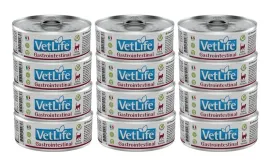 farmina-vet-life-gastrointestinal-cat-12x85g