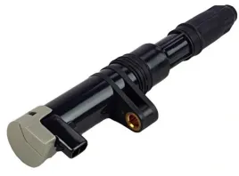 cewka-zaplonowa-delphi-ce20014-12b1