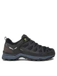 salewa-buty-mtn-trainer-lite-gtx-00-0000061361-0971-r-41