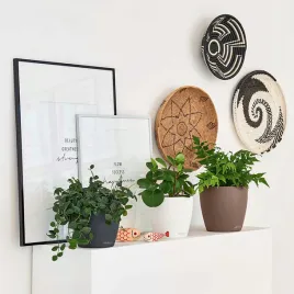 doniczka-tworzywo-sztuczne-szary-lechuza-18-cm-x-18-x-17-cm