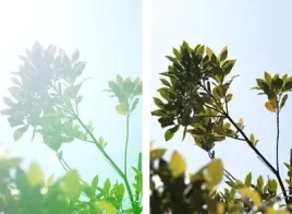 sigma-30mm-f1-4-dc-dn-do-nikon-z