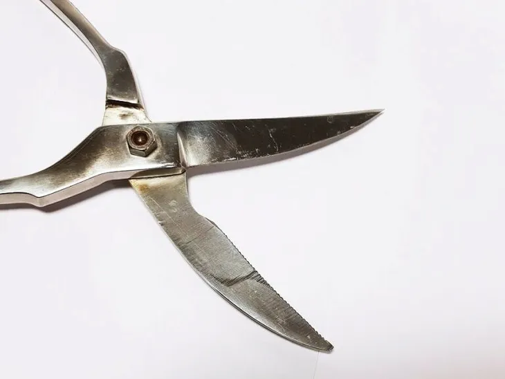 nozyce-do-drobiu-gerlach-ambiente-linia-ambiente-przeznaczenie-do-drobiu