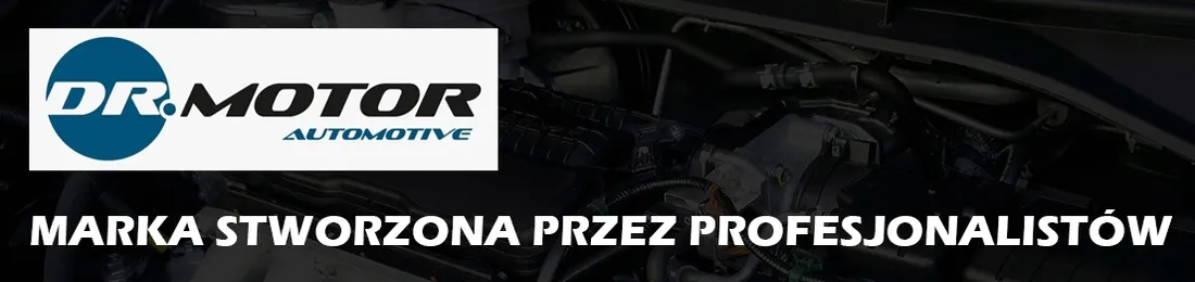 dr-motor-drm02139-gniazdo