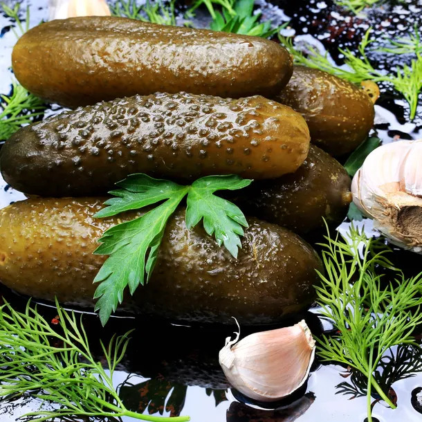 garnek-beczka-hermetyczna-hermetyk-kiszenia-kapusty-kiszonek-5l-kamionka-cechy-dodatkowe-plaszcz-wodny-hermetyczny-kolnierz