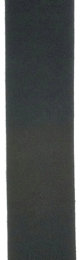 d-addario-25bl00-pas-gitarowy